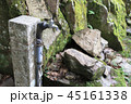 苔と蛇口 45161338