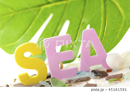 シーグラスと貝とモンステラ~南国イメージ~ シーグラスと貝とモンステラ~南国イメージ~ 45161591