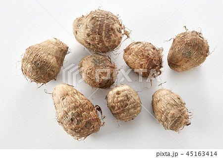 里芋 (taro) 45163414