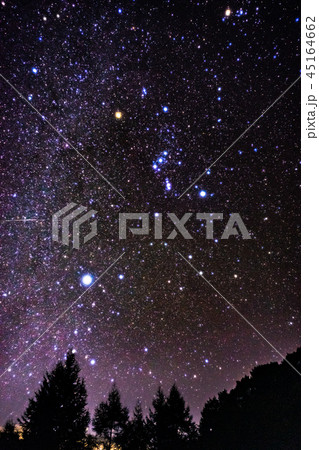 オリオン座と流れ星 オリオン座と流れ星 45164662
