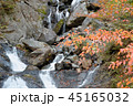 鯉ヶ滝と紅葉 45165032
