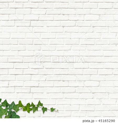 背景 レンガ 白 壁 蔦 葉のイラスト素材