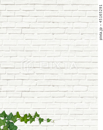背景 レンガ 白 壁 蔦 葉のイラスト素材 45165291 Pixta