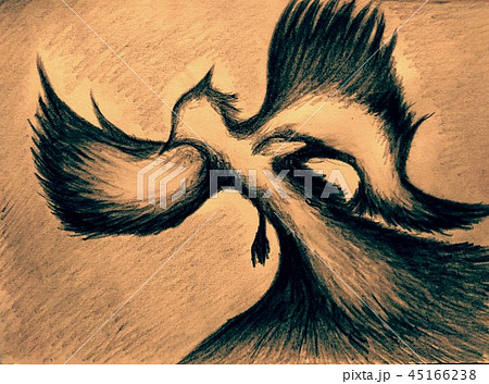 天使 デッサン 鳥 神 鉛筆画 イメージ 神秘のイラスト素材 45166238 Pixta