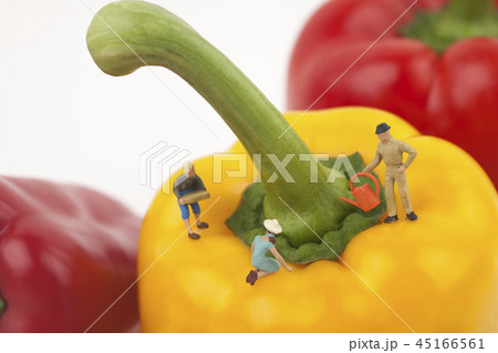 食べ物 フード 飲食物 45166561