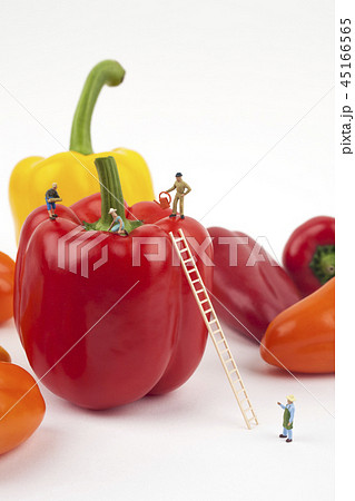 食べ物 フード 飲食物 45166565