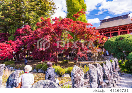 《長野県茅野市》見事な紅葉 長円寺 《長野県茅野市》見事な紅葉 長円寺 45166781