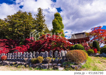 《長野県茅野市》見事な紅葉 長円寺 《長野県茅野市》見事な紅葉 長円寺 45166790