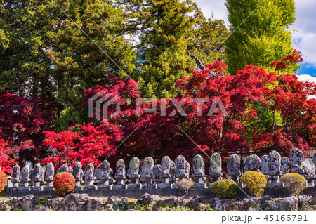 《長野県茅野市》見事な紅葉　長円寺 45166791