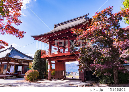 《長野県茅野市》見事な紅葉　長円寺・鍾楼門 45166801