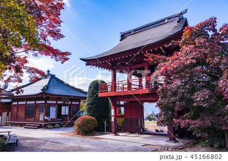 《長野県茅野市》見事な紅葉　長円寺 45166802