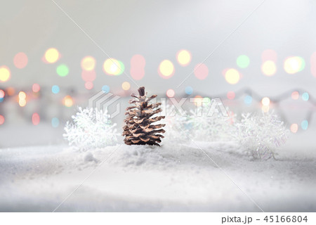 Pine cone on snow 45166804