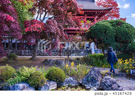 《長野県茅野市》見事な紅葉 長円寺 《長野県茅野市》見事な紅葉 長円寺 45167429