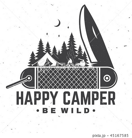 Happy camper. Be wild. Vector illustration. Concept for shirt or badge, overlay, print, stamp or tee 45167585