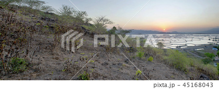 View from the hills with rice fields and mountain View from the hills with rice fields and mountain 45168043