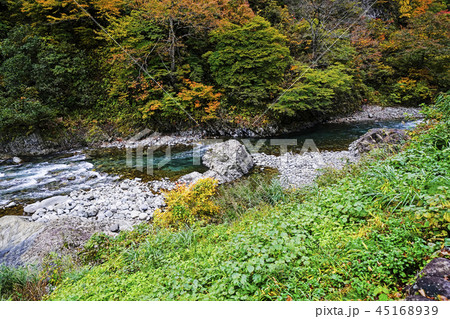 清津峡の紅葉 清津峡の紅葉 45168939