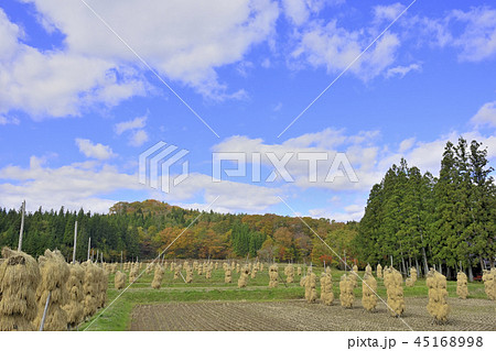 秋 骨寺村荘園遺跡地区と栗駒山 秋 骨寺村荘園遺跡地区と栗駒山 45168998