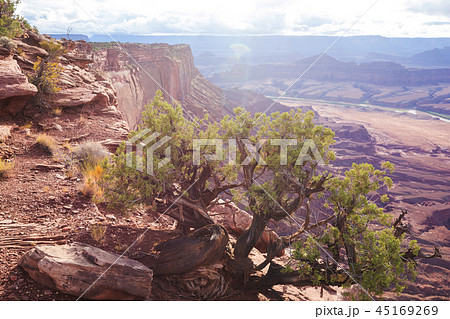 Utah landscapes 45169269