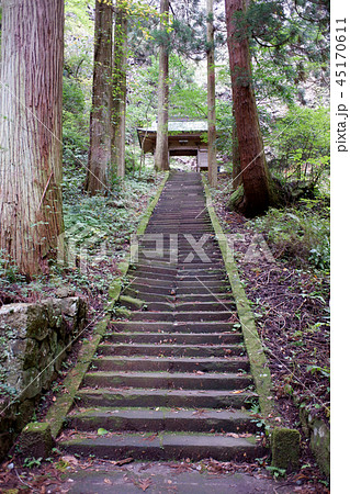 隠岐島後　壇鏡神社参道 45170611