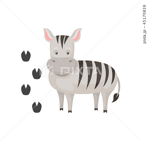 Cute zebra and her footprints. Cartoon character of wild African animal with black-and-white stripes 45170839