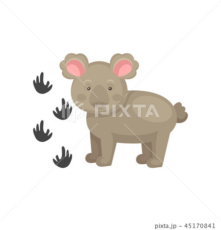 Adorable Koala Bear And His Footprints Wild のイラスト素材
