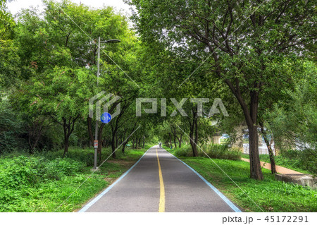 Han River bike lane Han River bike lane 45172291
