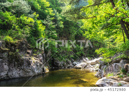 Sogeumgang creek in Odaesan NP 45172980