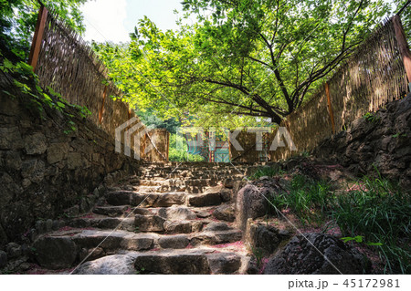 Geumgangsa Temple and the stairs Geumgangsa Temple and the stairs 45172981