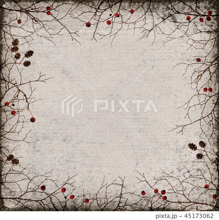 Dry twigs frame with cones and berries on paper 45173062