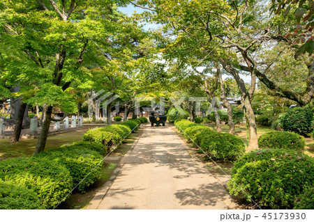 豪徳寺 豪徳寺 45173930