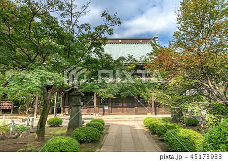 豪徳寺 豪徳寺 45173933