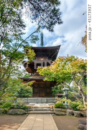 豪徳寺 45173937