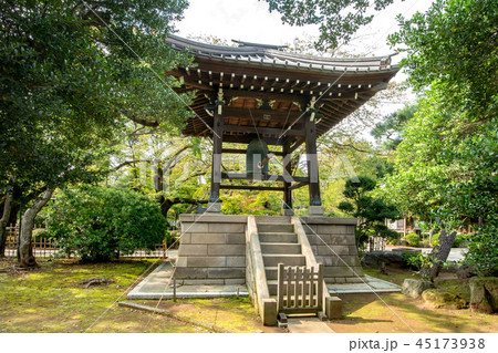 豪徳寺 45173938