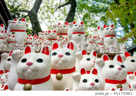 東京都世田谷区豪徳寺の招き猫 東京都世田谷区豪徳寺の招き猫 45173961