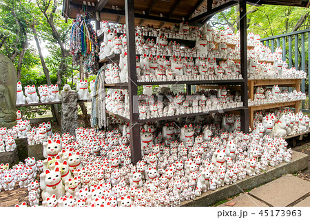 豪徳寺 45173963
