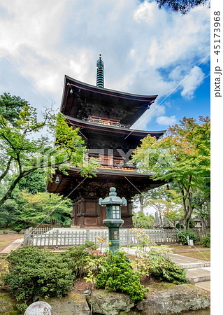 豪徳寺 豪徳寺 45173968