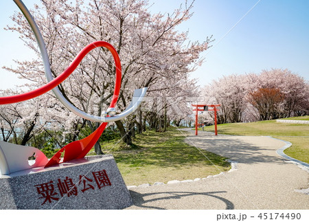 桜　粟嶋神社 45174490