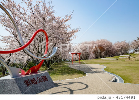 桜　粟嶋神社 45174491
