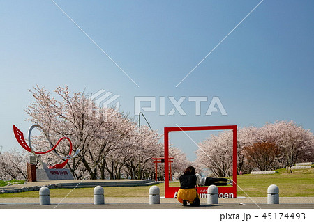 桜 粟嶋神社 桜 粟嶋神社 45174493