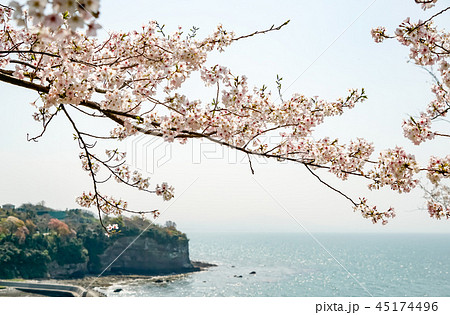桜　粟嶋神社 45174496