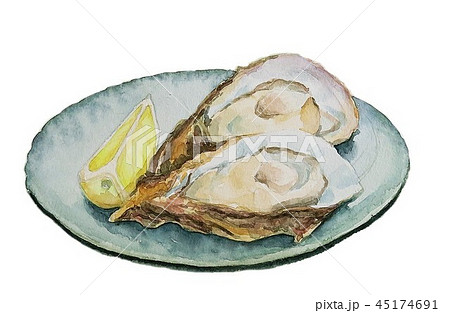 水彩画 牡蠣のイラスト素材