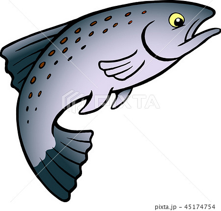 Salmon Or Trout Fish Stock Illustration