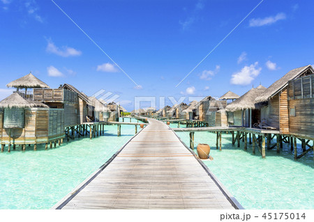 インド洋の美しいサンゴ礁の海 インド洋の美しいサンゴ礁の海 45175014