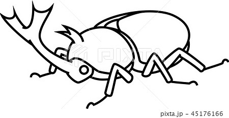 Beetle Stock Illustration