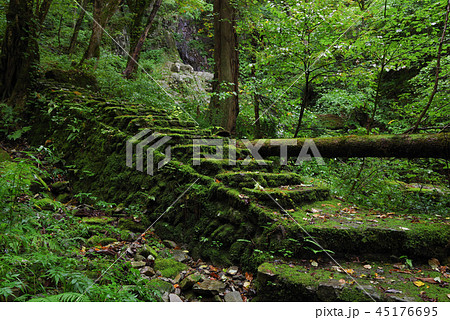 島根県、匹見峡、奥匹見峡(2018年10月) 島根県、匹見峡、奥匹見峡(2018年10月) 45176695
