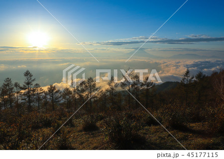 甘利山から望む朝日の雲海と富士山 45177115