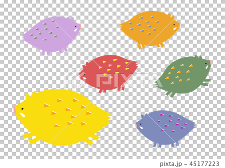 Illustration 45177223