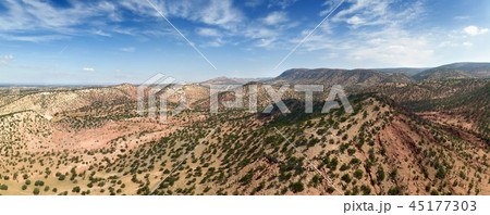 Mountains with argan trees in Moroccoの写真素材 [45177303] - PIXTA