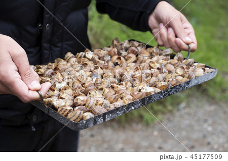 young man preparing a catalan recipe of snails 45177509