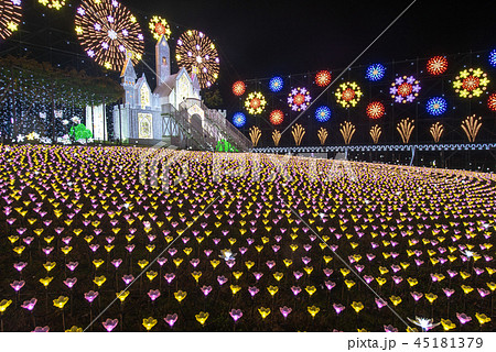 あしかがフラワーパーク イルミネーション フラワーキャッスル あしかがフラワーパーク イルミネーション フラワーキャッスル 45181379